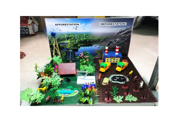 Afforestation and Deforestation model