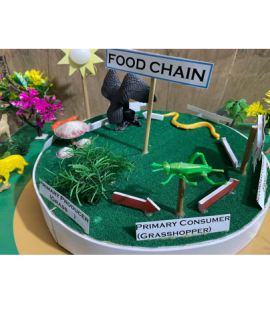 Food chain working model